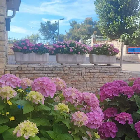 Apartmán By The Sea Zablace, Sibenik - 23960